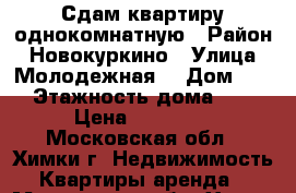 Сдам квартиру однокомнатную › Район ­ Новокуркино › Улица ­ Молодежная  › Дом ­ 50 › Этажность дома ­ 20 › Цена ­ 25 000 - Московская обл., Химки г. Недвижимость » Квартиры аренда   . Московская обл.,Химки г.